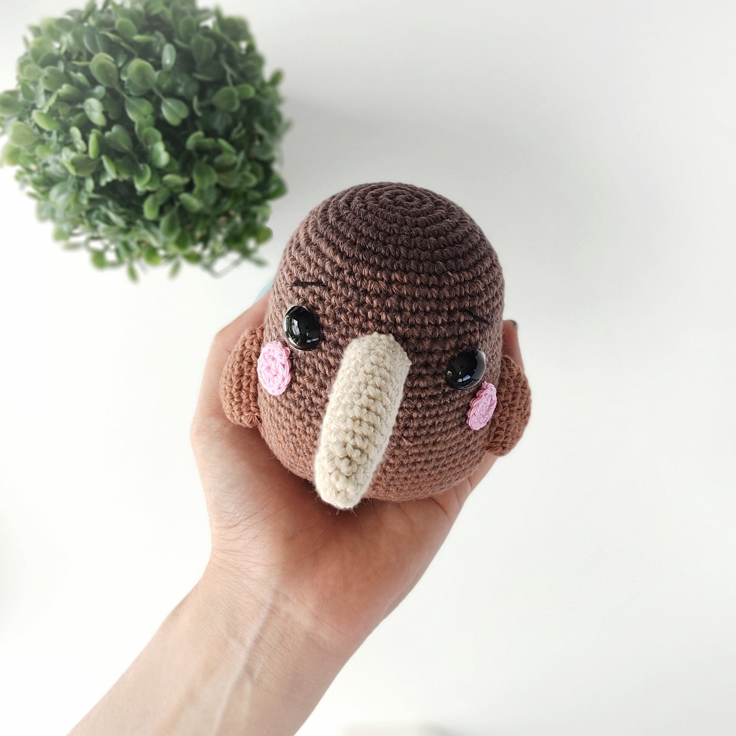 Plumpy Kiwi Bird