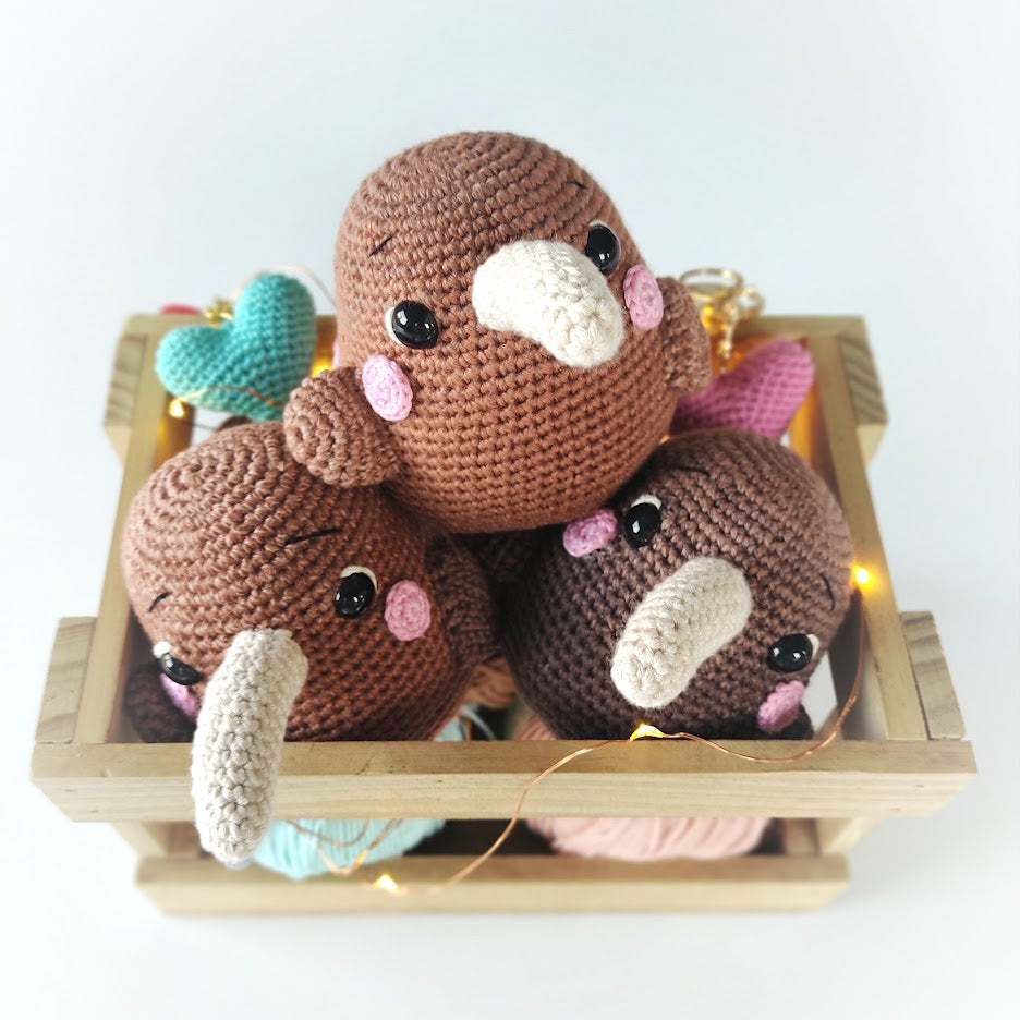 Plumpy Kiwi Bird